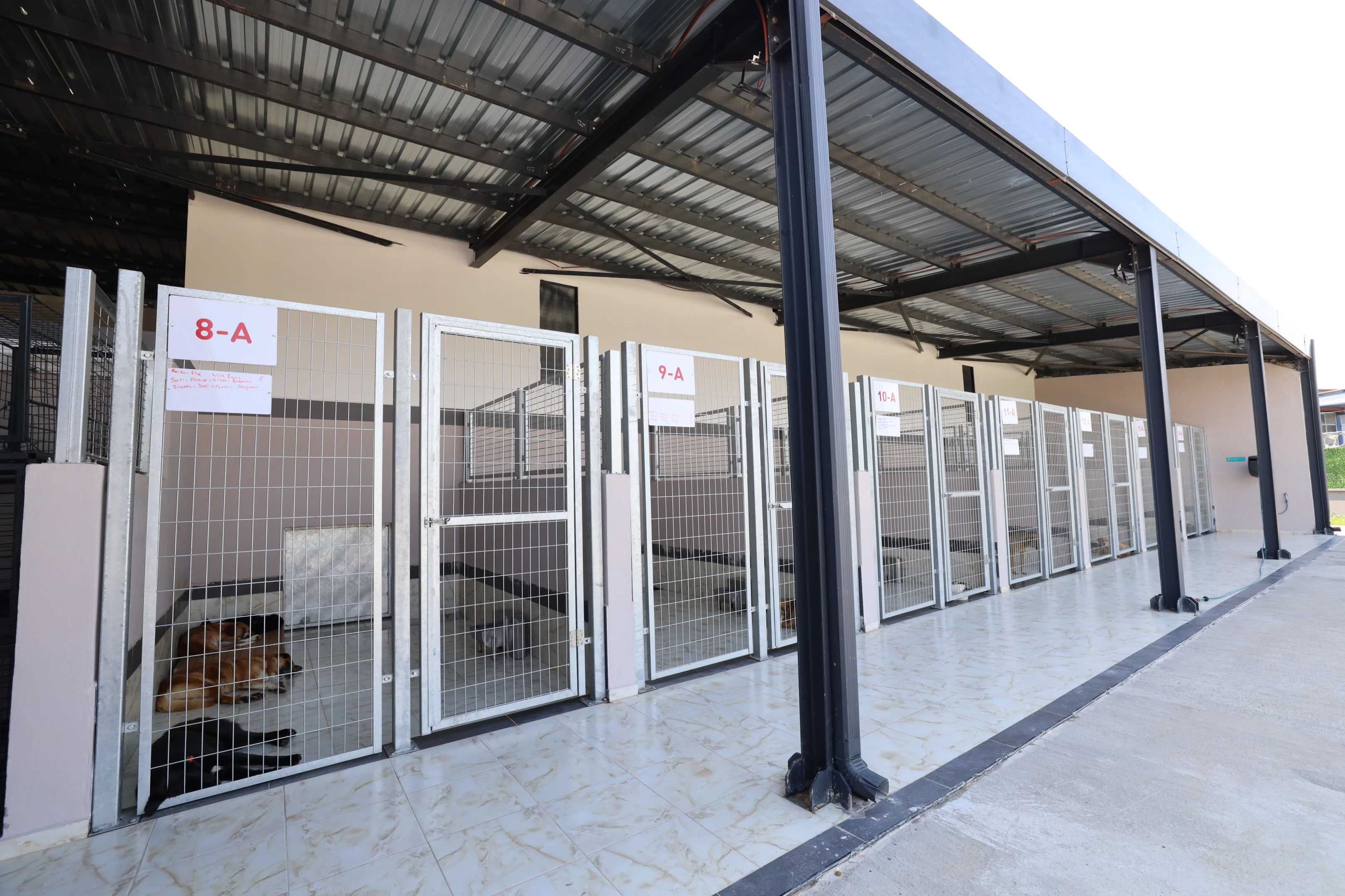 Proteo Sokak Hayvanları Rehabilitasyon Merkezi