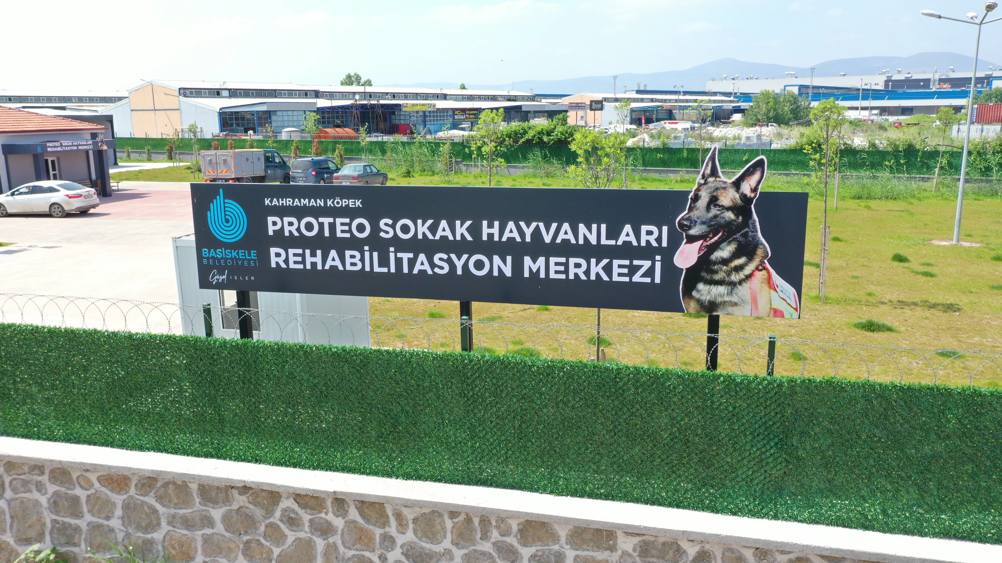 Proteo Sokak Hayvanları Rehabilitasyon Merkezi